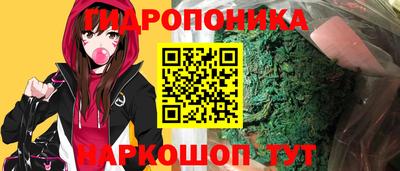 прущие крисы Кудрово