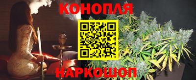 прущие крисы Кудрово